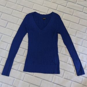 Blue Express V-neck Sweater